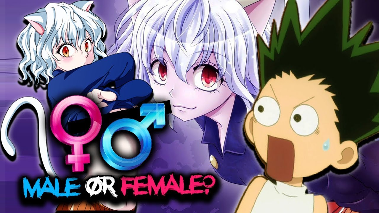 Is pitou a girl