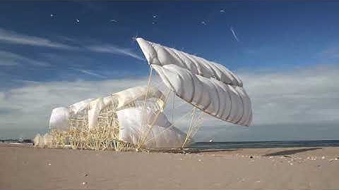 Animaris Rex | The Wind-Powered Sculpture by Theo Jansen
