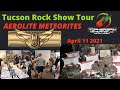 Aerolite Meteorites Live Tour: Tucson Rock Show 2021 April 11, Buying Meteorites  -The Meteorite Men