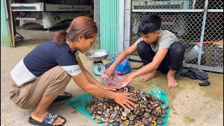 Orphan Boy  Catching Wild Snails at Night to Sell, Taking Care of Newly Purchased Piglets #boy