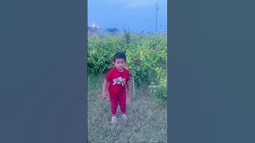 Who