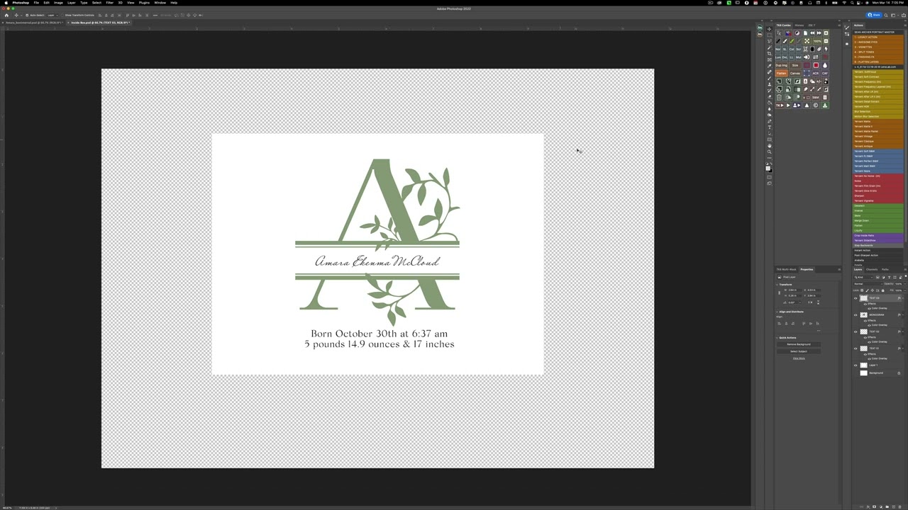 A Guide to Incorporating Enoblement into GraphiStudio Albums