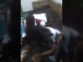 Laalaa Mee Warra Biyya Arabaa Kana 