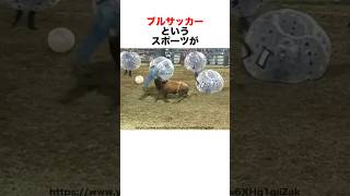 狂気に満ちたスポーツ??