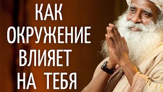 Садхгуру — Как окружение влияет на тебя.