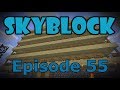 Minecraft- SkyBlock [55] Home Safety!