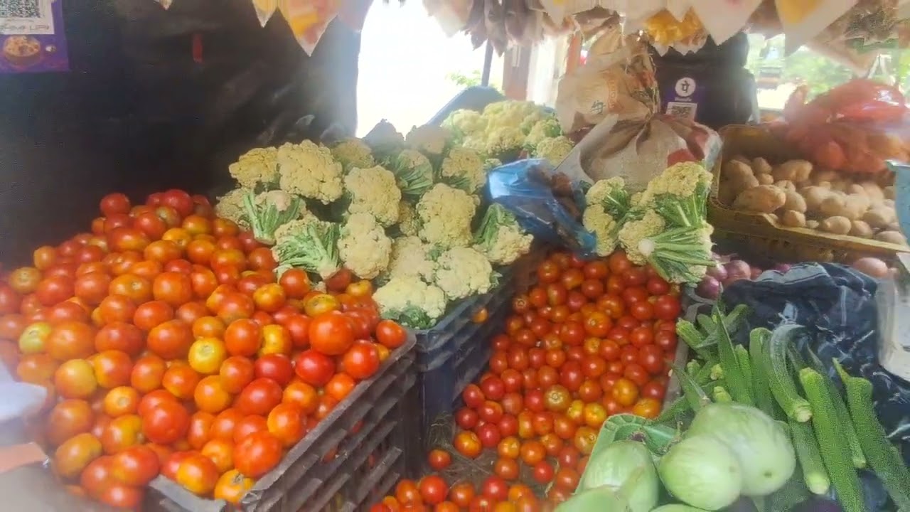 ఉద్యోగం లేకుండా గౌరవంగా బతికే మార్గం ఇతని దగ్గర ఉంది!