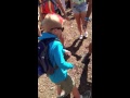 Lolla2013
