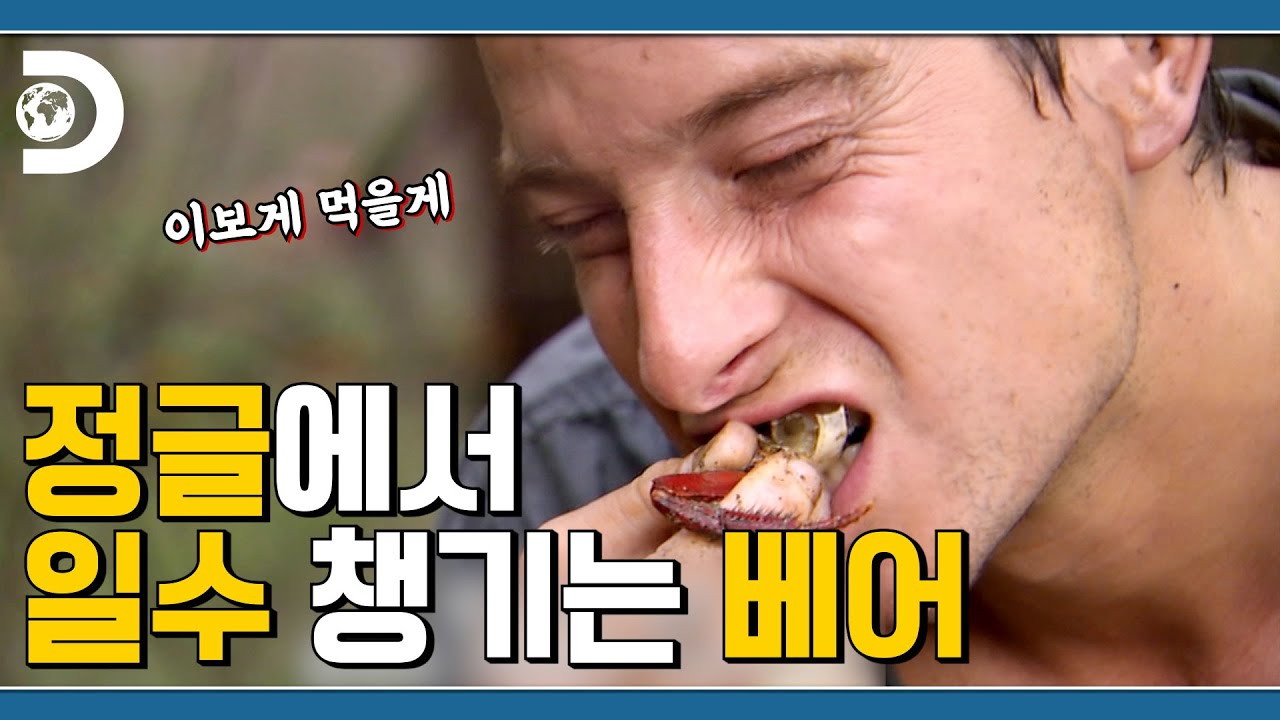 ⁣요즘 게가 제철이라며?🦀 밀린 단백질 정글에서 보충하는 베어그릴스 [Man VS Wild]