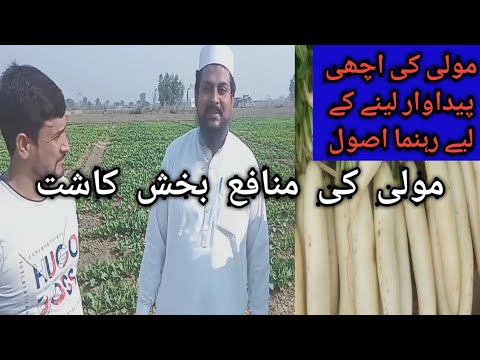 Production technology of radish/ مولی کی منافع بخش کاشت