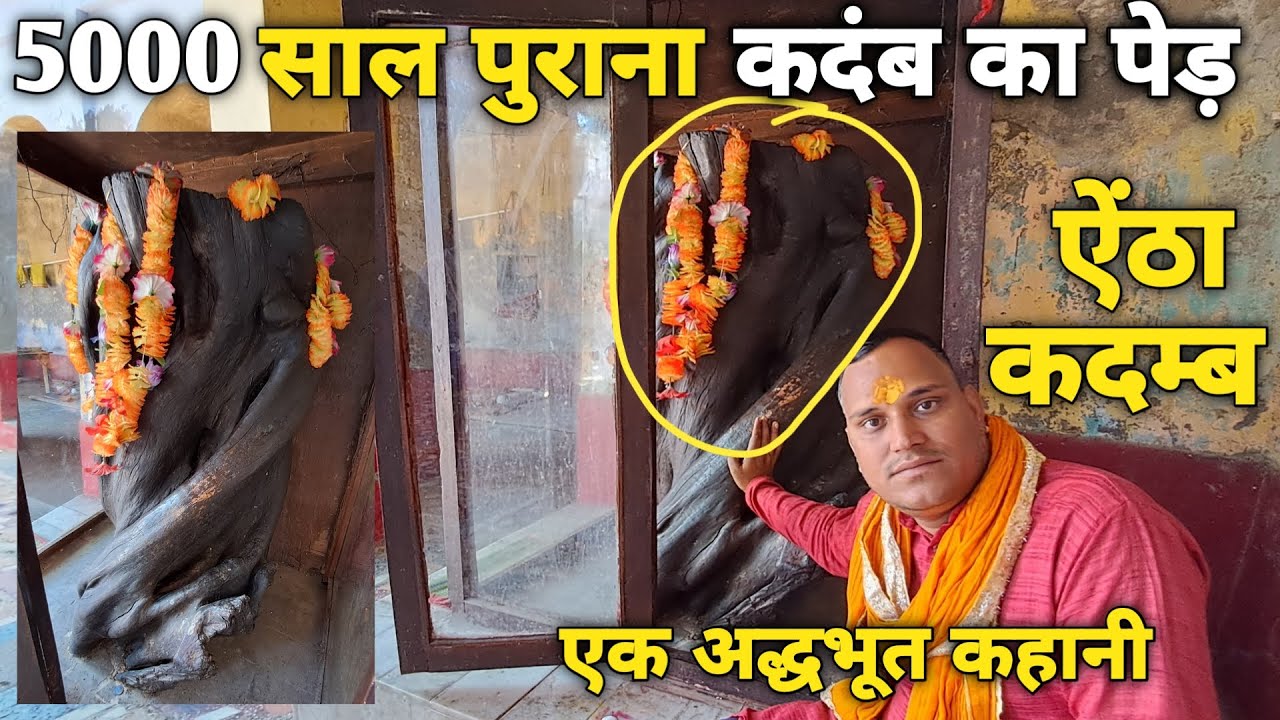 Govardhan:5000 साल पहले कैसे bhagwan Krishna ने यहां दंड दिया कदंब के पेड़ को ||braj darpan|| 2022