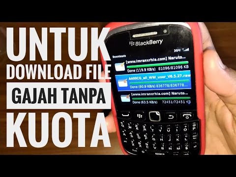 What Harga Blackberry Curve