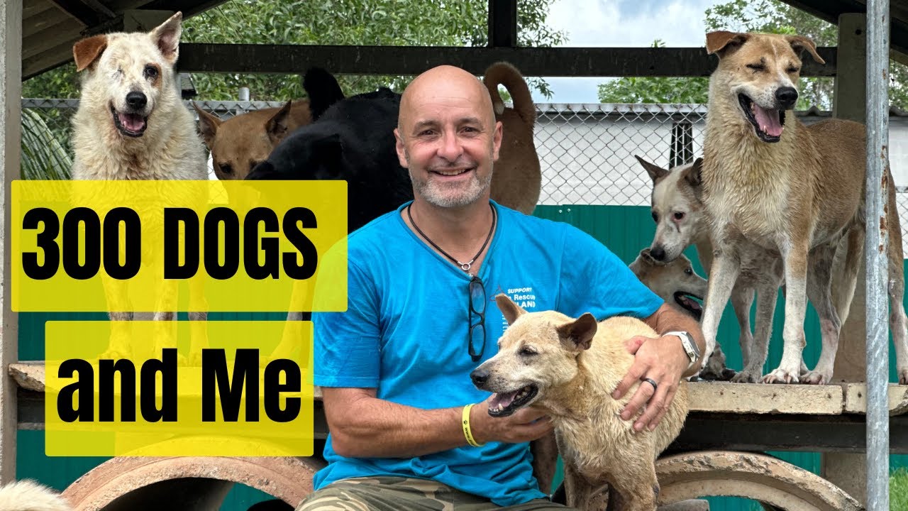 Life Inside a Thai Dog Shelter