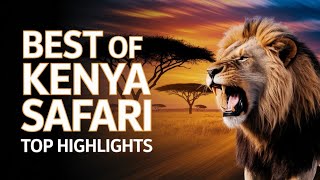 Explore Kenya Big Five Safari, National Parks & Cultural Tours