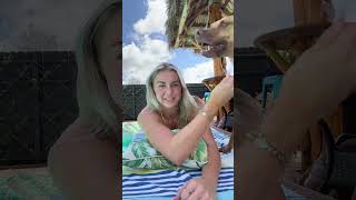 روتيني اليوم الروتين اليومي روتين جديد My Daily Routine