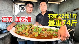 江苏连云港地锅烧鱼，纯野生大花鲢22一斤，卖过最重一条鱼有74斤！ #麦总去哪吃