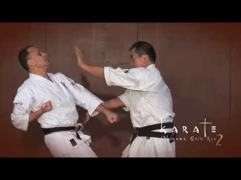 Okinawa Karate Goju Ryu : DVD Trailer - Trailer by Imagin' Arts