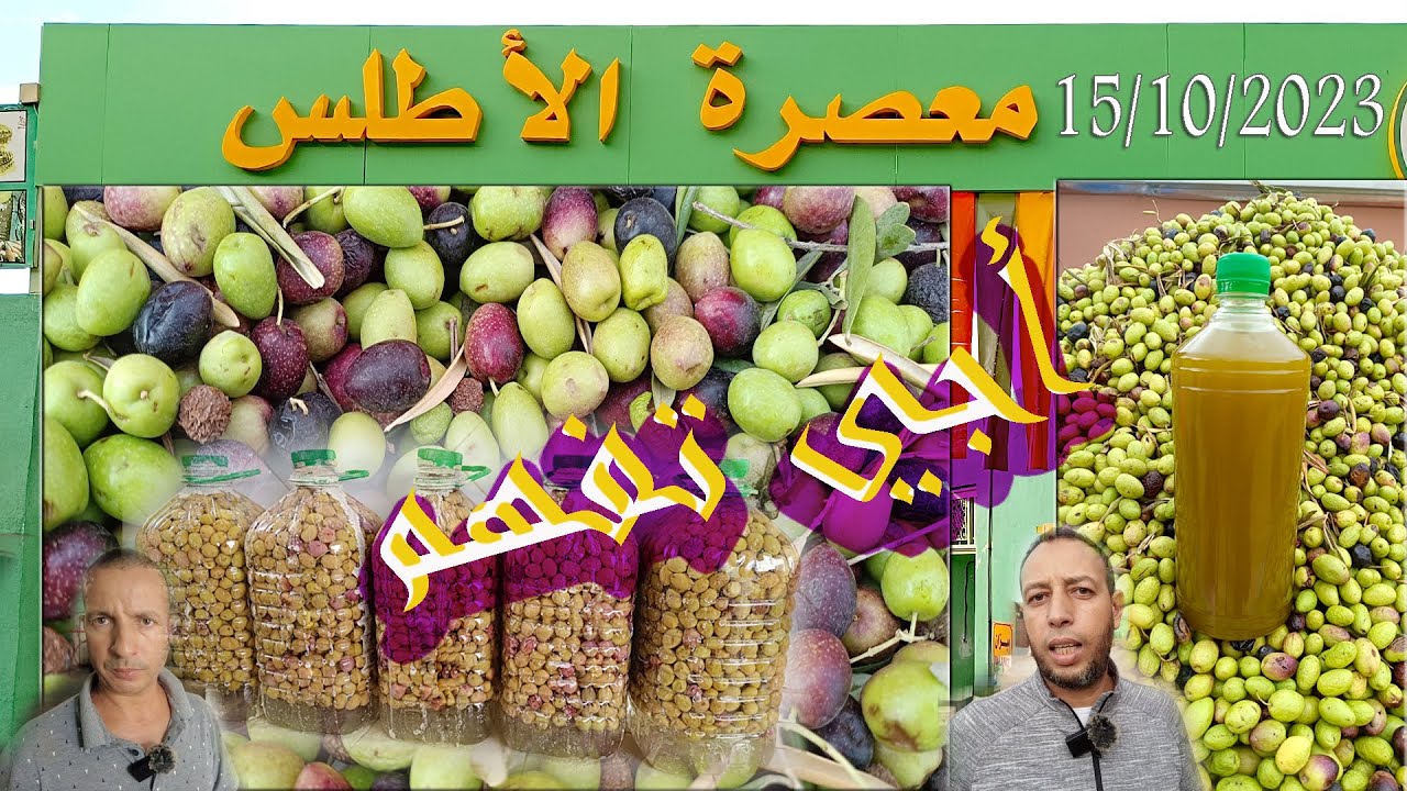 أجي تفهم الحقيقة زيت الزيتون من معصرة الأطلس فم العنصر بني ملال 15/10/2023