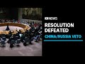 Russia and China vote against UN Security Council ceasefire resolution in Gaza | ABC News