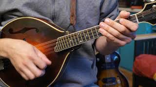 Flop Eared Mule Play Along Jam - Mandolin Lesson