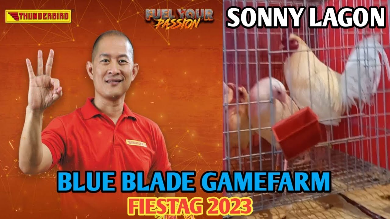 Sonny Lagon Hd Sex Video - BLUE BLADE GAMEFARM - DAY 1 FIESTAG - SONNY LAGON - BRUCE BARNETT - SWHITE  - MACHINE KELSO - JG GREY - YouTube