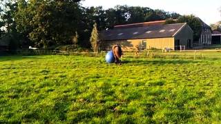 Download Lagu Gráni's \ MP3