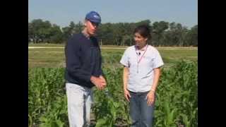 Organic Vegetable Production - Soil Sampling For Nematodes