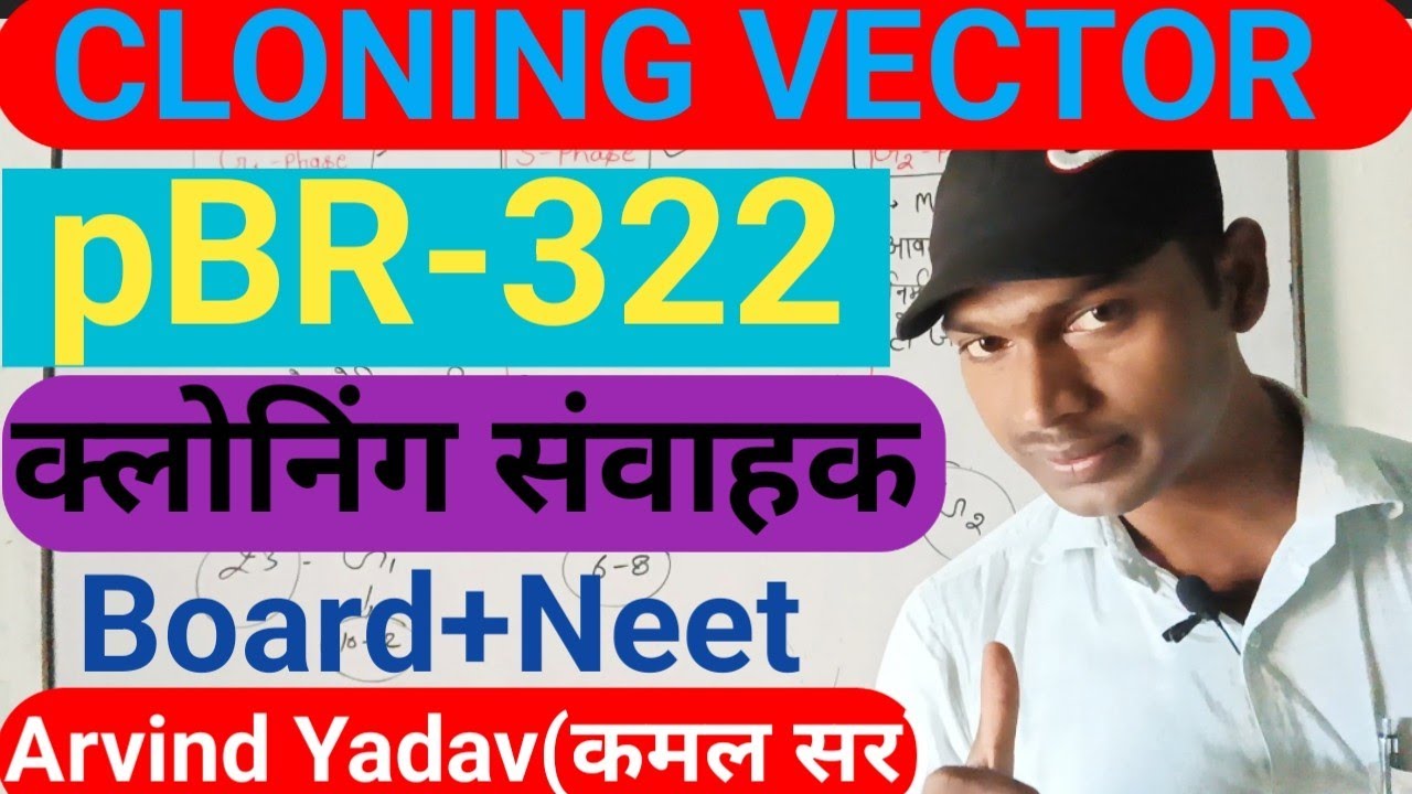 CLONING VECTOR || PLASMIDS pBR-322 ||क्लोनिंग संवाहक || Biotechnology pBR 322 vector ||