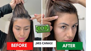 Mis Canas Están Fuera de Control… Así es Como Las Cubro en Casa 💥”