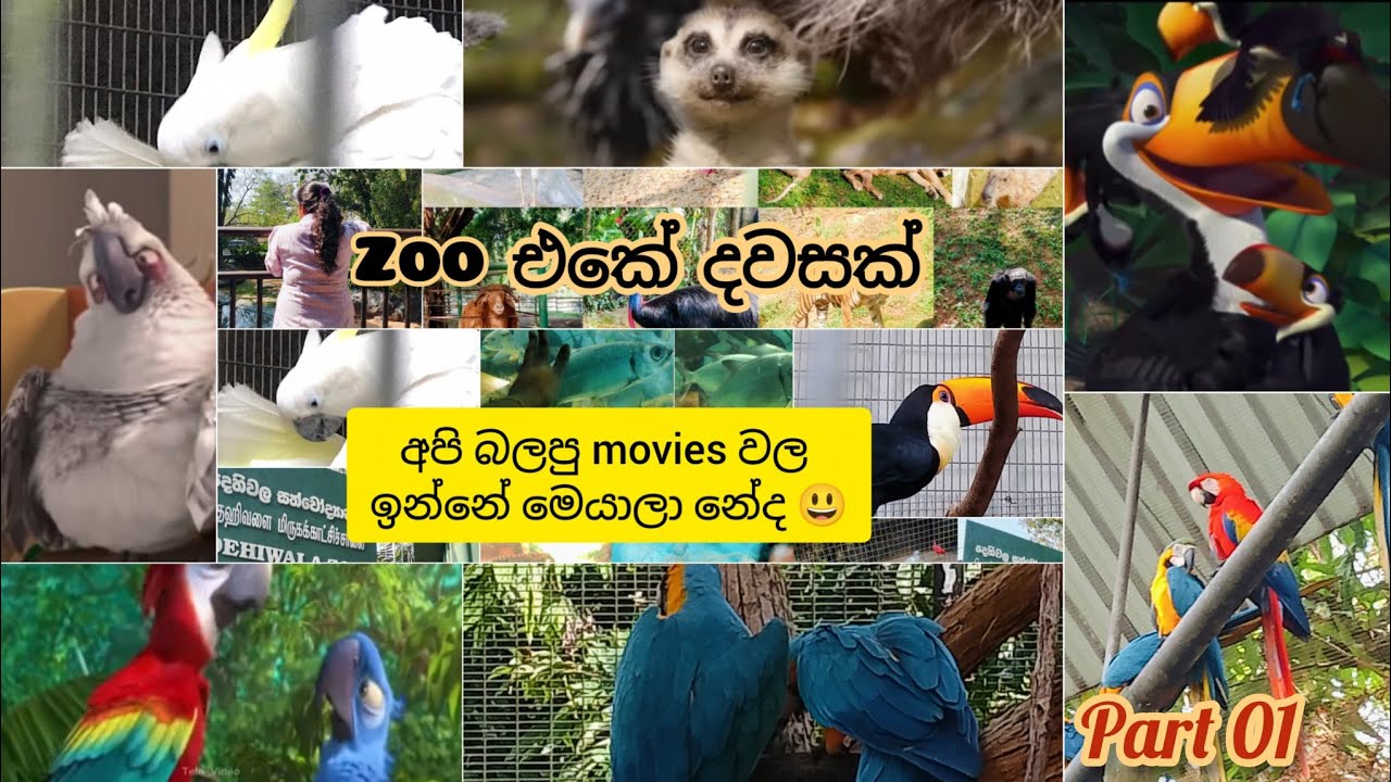 සත්තුත් එක්ක දවසක්,🥰movies වල අපි දැක්කා  මේ අයව මතක් උනේ මට විතරද?🤔 #naturelovers #animallovers 