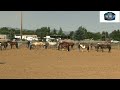 2025 Sheridan County Fair