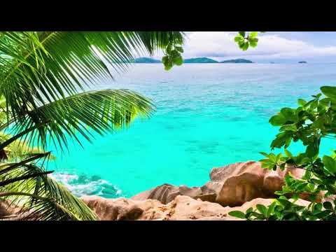 მალხაზ ფუტკარაძე