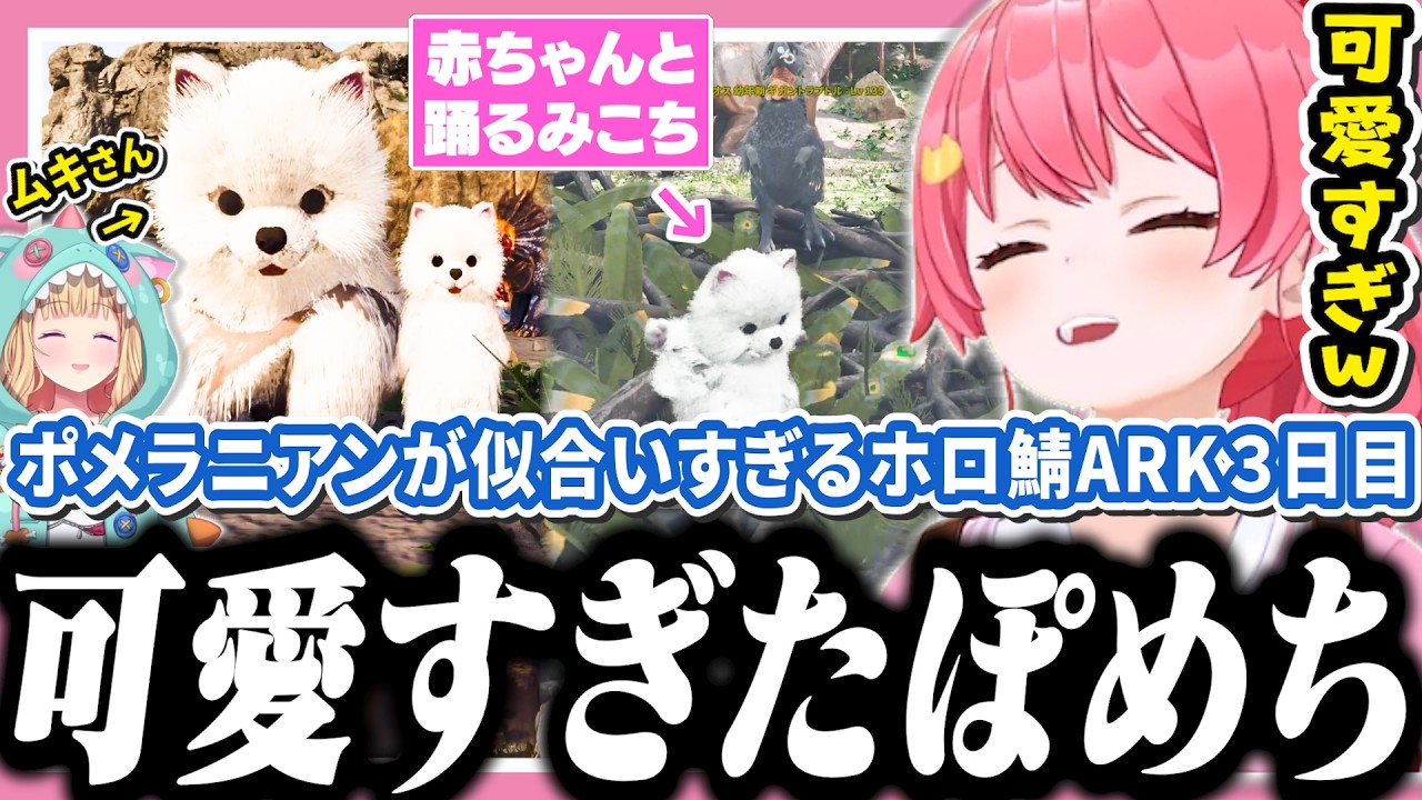 【#ホロARK】アキちゃんに貰ったポメスキンに大喜びで遊び尽くすみこちの3日目【ホロライブ/切り抜き/さくらみこ】