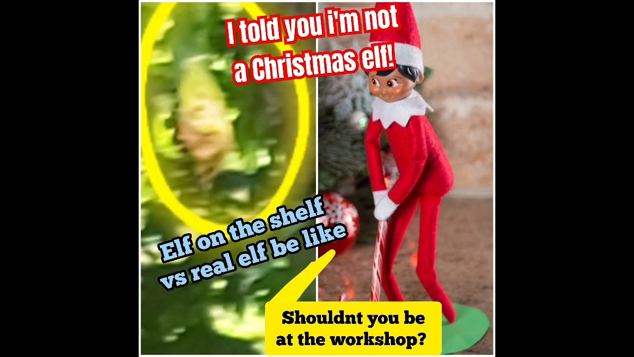 real elf caught on camera! duwende duende hulicam! sighting no. 22 #shorts  #elf #elves #pixie 