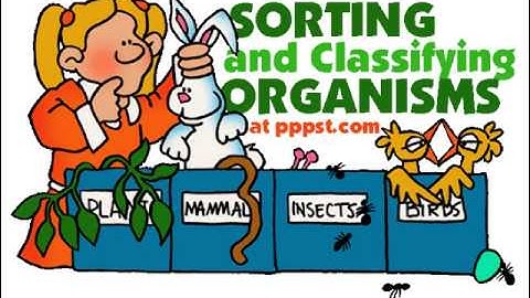 Classification of Organisms