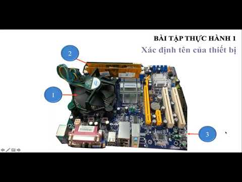 Tuần 2 - Tin học - Chủ Đề 2: Bên trong thùng máy