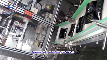 VFS5000G Continuous Motion Packing Machine - Zengran Packaging