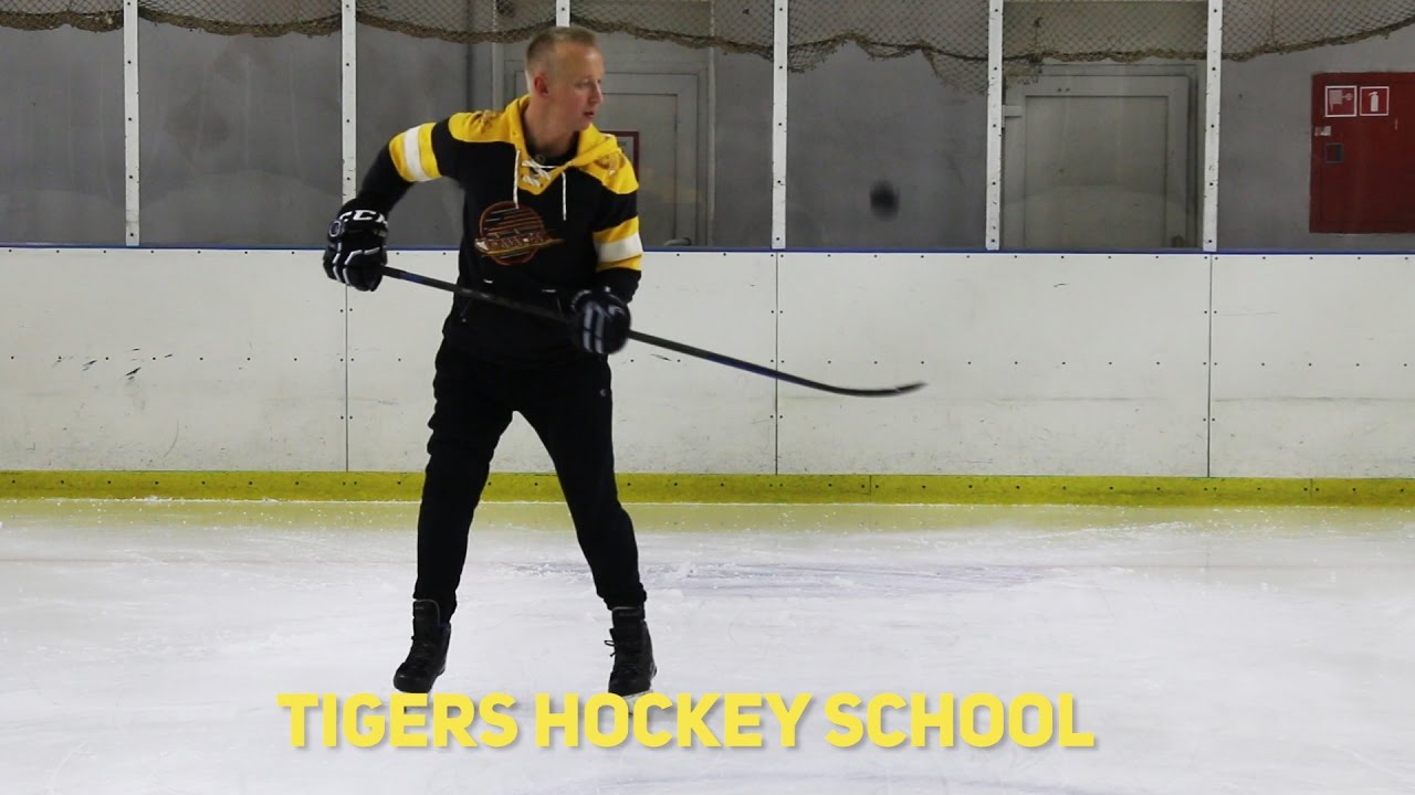 Тренировка мастерства. Нефедов тренер хоккей. Евгений Нефедов тренер по хоккею. Майстришин Илья хоккей. Shm тренера хоккейного мастерства.