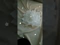 ٢٣ سبتمبر، ٢٠٢٥