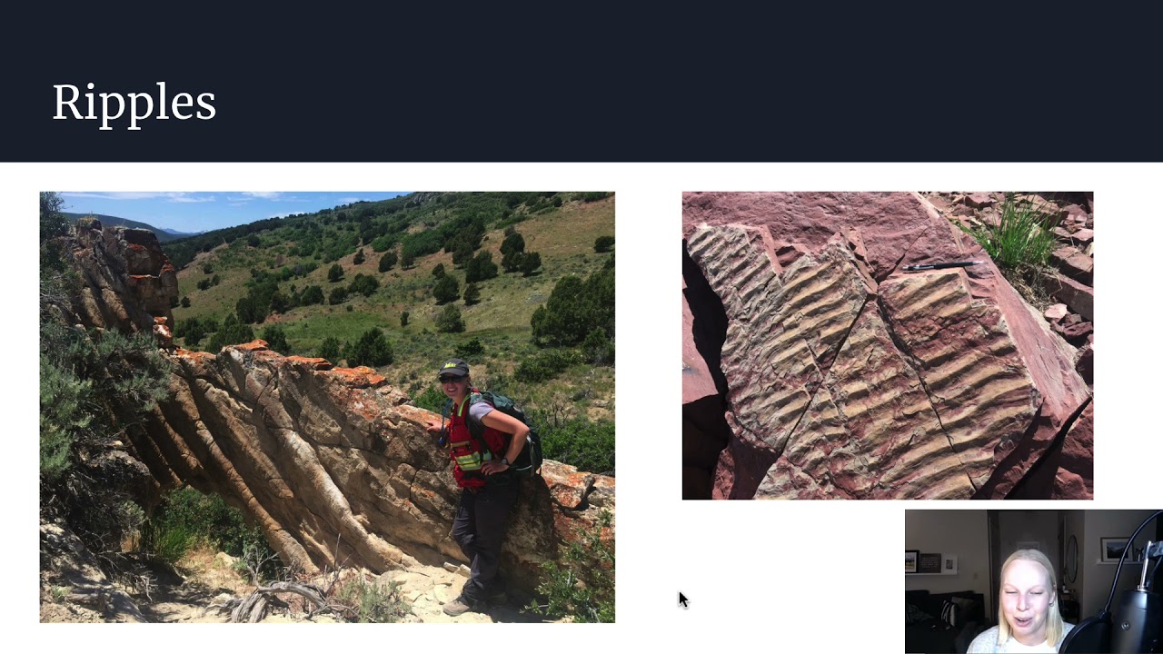 Sedimentary structures (primary structures) | Ripples, crossbedding, mudcracks and more