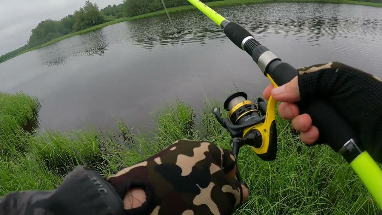 ловить страницу