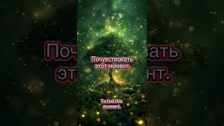 Ты не должен спешить. #тоткторядом #жизнь #мотивация #всевовремя
