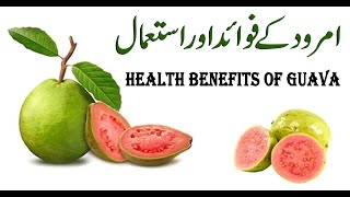 Health Benefits Of Guava | Amrood Ke Fawaid | Amrood Khane Ke Fayde | Guava Benefits | امرودکے فائدے