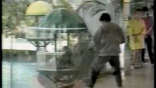 Paper Marriage Guo Bu Xin Lang News Report On The Making Sammo Hung Maggie Cheung 1986