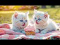 Capture de la vidéo 4K Ultimate Baby Animals Kingdom - Nature Relaxation Film About Young Animals || Healing Of Stress