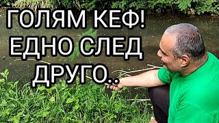 видео: СТРАХОТЕН РЕЧЕН РИБОЛОВ НА ПЛУВКА С МНОГО РИБА И МНОГО ЕМОЦИИ! КЪЛВЕ НА ЗЕМЕН ЧЕРВЕЙ ДОСАМИ БРЕГА!!! картинка: СТРАХОТЕН РЕЧЕН РИБОЛОВ НА ПЛУВКА С МНОГО РИБА И МНОГО ЕМОЦИИ! КЪЛВЕ НА ЗЕМЕН ЧЕРВЕЙ ДОСАМИ БРЕГА!!!