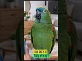 “Savage parrot rejects her brutally 😂🦜”