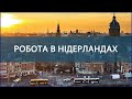 Відправка автобусів на роботу в Нідерланди. Квіткова фабрика