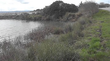 Sea Level Rise in Humboldt