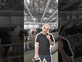 Как выбрать лучистое низкотемпературное инфракрасное потолочное промышленное отопление?